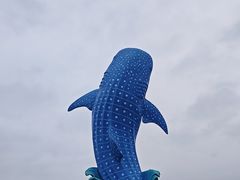 -珠海长隆海洋王国