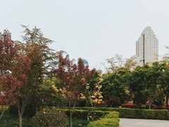 -马濠公园