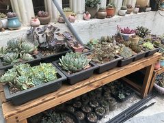 -旧屋咖啡(海景店)