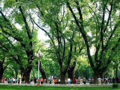 -人民公园(罗湖区)