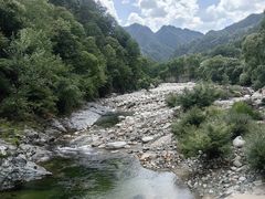 -黑河国家森林公园