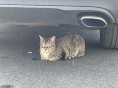 -瑜上·山食小馆