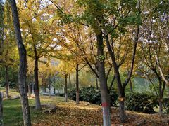 -西安汉城湖景区