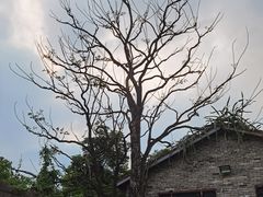 -瑭风赏阁