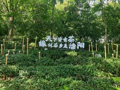 -天目湖山水园