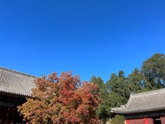 -香山公园