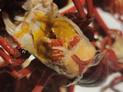 -汉虾王.小龙虾.武汉菜.粤菜(科技园店)