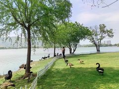 -长田漾湿地公园