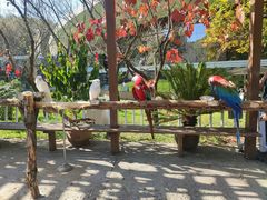 -哈尔滨北方森林动物园