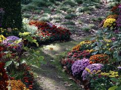 -上海共青森林公园