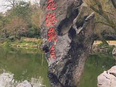 -西湖外事游船(花港观鱼码头)