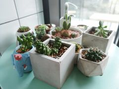 -蜜蜂小象·榴莲千层蛋糕(时代汇11栋店)