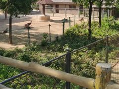 -石家庄市动物园