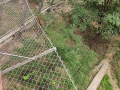 -石家庄市动物园