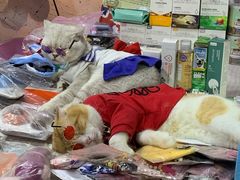 -吴山路夜市