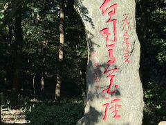 -庐山风景区花径公园