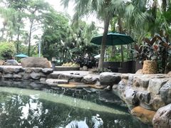 -厦门日月谷温泉渡假村