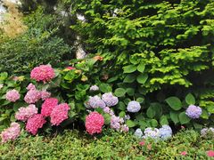 -常州古运河南大街文化旅游区-人民公园