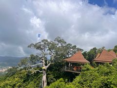 -三亚亚龙湾人间天堂鸟巢度假村