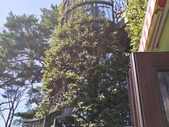 -三鹰之森吉卜力美术馆