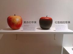-艺塔木美学教育(和达校区)