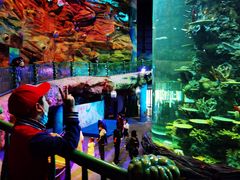 -青岛嘉年华主题乐园