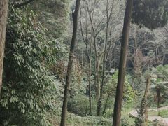 -凤栖山