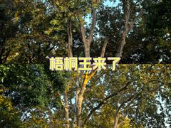 -中山公园