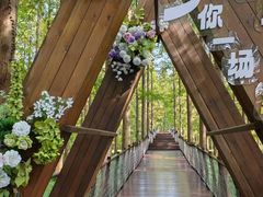 -黄海国家森林公园