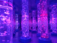 -梦幻海洋王国(吾悦广场张家港店)