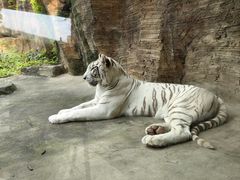 -杭州野生动物世界