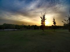 -漕湖湿地公园