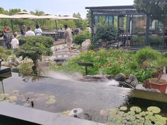-蘇河湾·新鲁菜·泰山宴(泰山店)