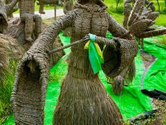 -建华生态湿地百荷园