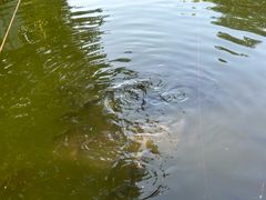 -酷鱼垂钓CLUB(朝阳区博大路店 )