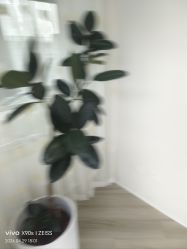 -HEYAN荷妍专业脱毛连锁机构