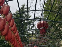 -乐山大佛风景名胜区乌尤寺南门-售票点