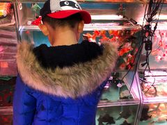 -曲阳花鸟市场(曲阳路店)