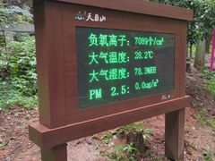 -天目山大树王景区