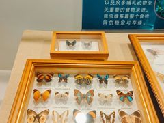 -上海大自然野生昆虫馆(东方明珠·爬宠昆虫探索中心)