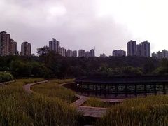 -龙头寺公园