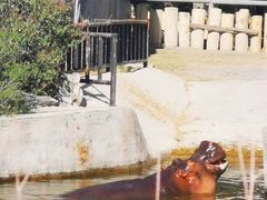 -新疆天山野生动物园