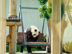 -无锡动物园·太湖欢乐园