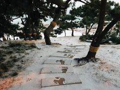 -青岛第三海水浴场