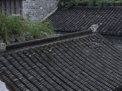 -芥子园