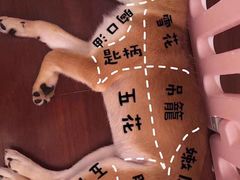 -津市刘聋子粉馆(林科大店)