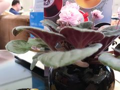 -粤海喜来登酒店·&More聚驿(天河城店)