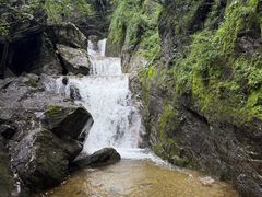 -牛背梁国家森林公园