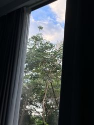 -宝生月子中心·私家园林式(龙华观澜店)