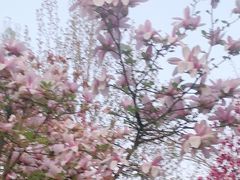 -北极寺公园